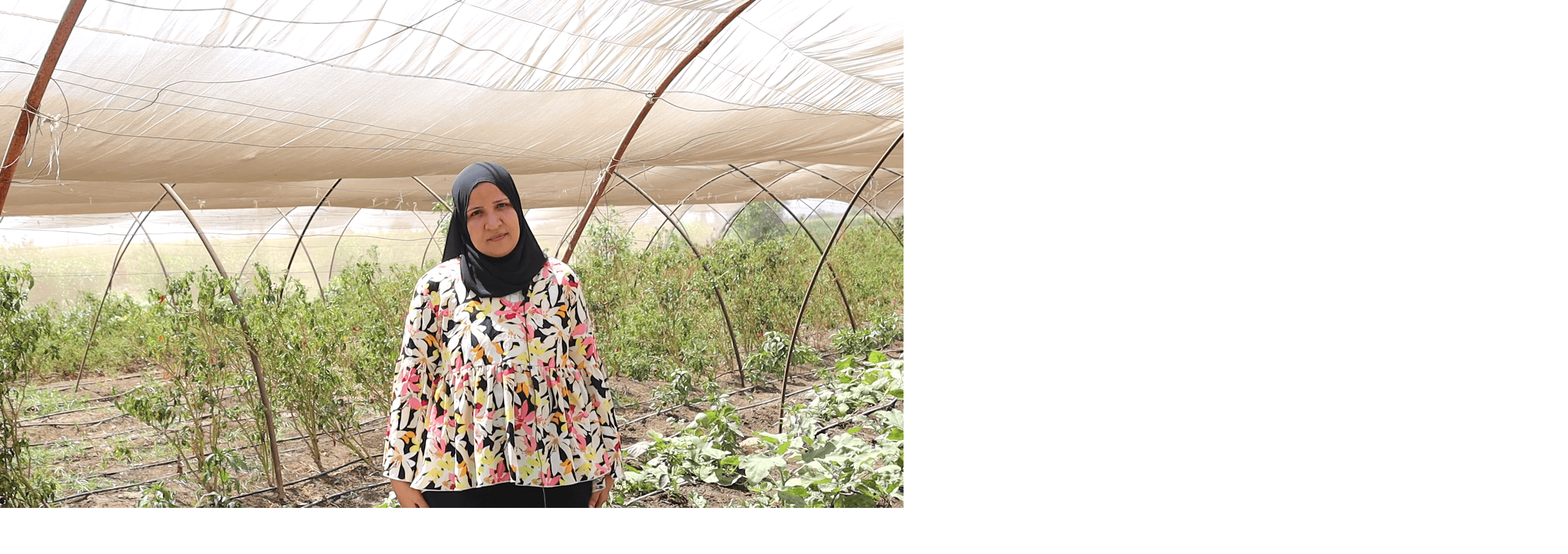 Fallaha Handicrafts video thumbnail